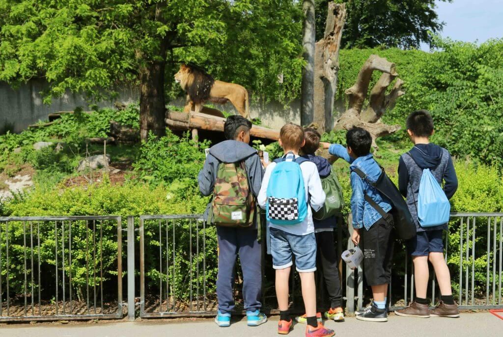 can animal tourism ever be ethical? in Spokane, WA can animal tourism ever be ethical? in Spokane, WA