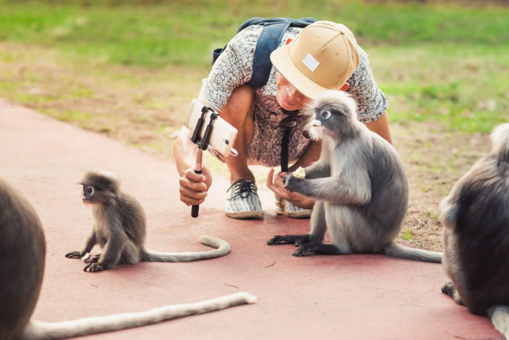 can animal tourism ever be ethical? in Boston, MA