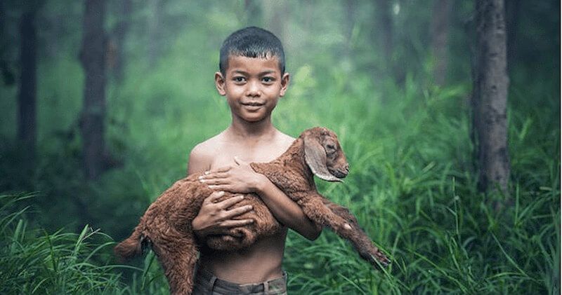 children helping animals