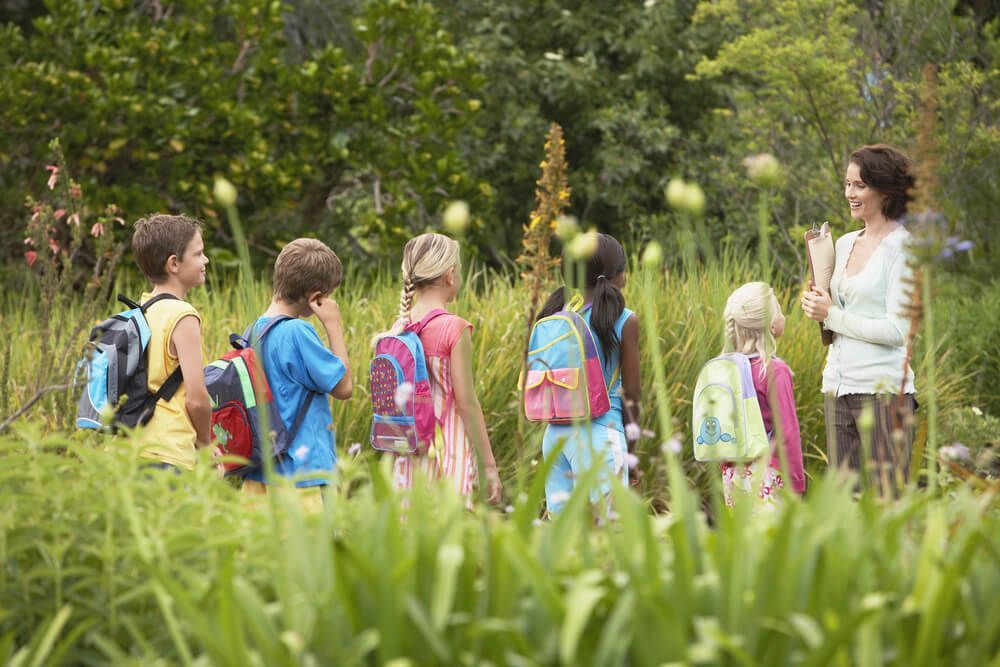 easy vegan lunch ideas to pack for your kid’s field trip