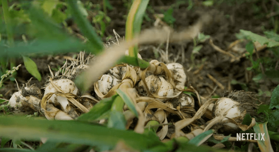 new netflix food documentary about meat ‘rotten’