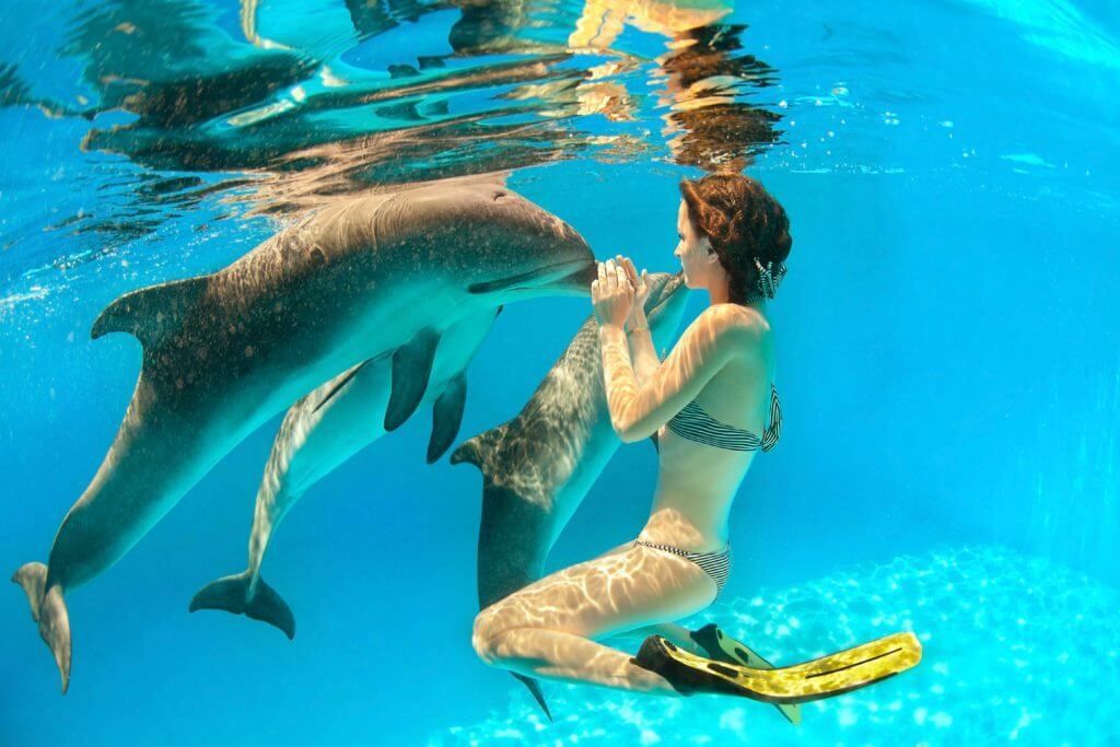 can animal tourism ever be ethical? in Chattanooga, TN can animal tourism ever be ethical? in Chattanooga, TN