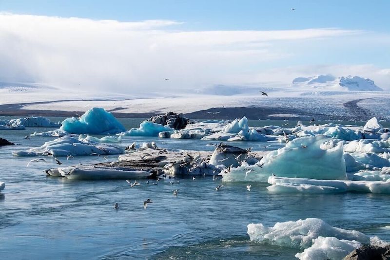 Startling Global Warming Discovery In Antarctica Startling Global Warming Discovery In Antarctica