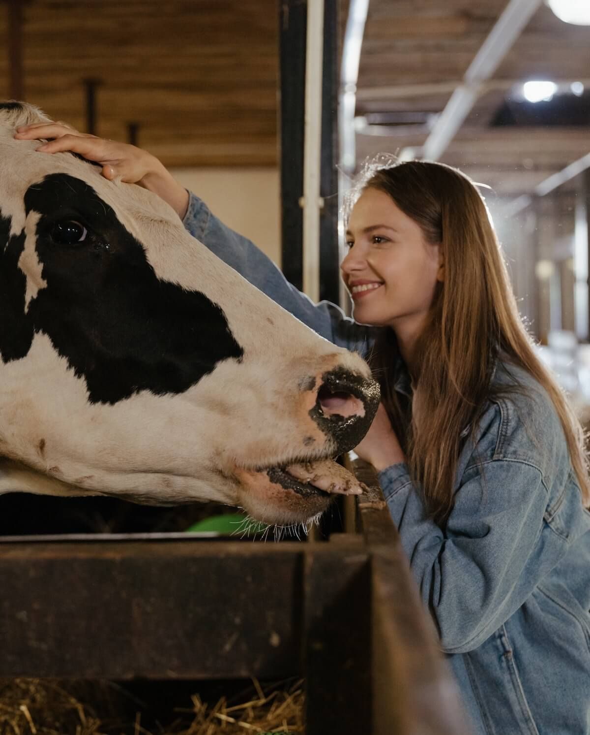 meat taxes are coming to a store near you! in Spokane, WA meat taxes are coming to a store near you! in Spokane, WA