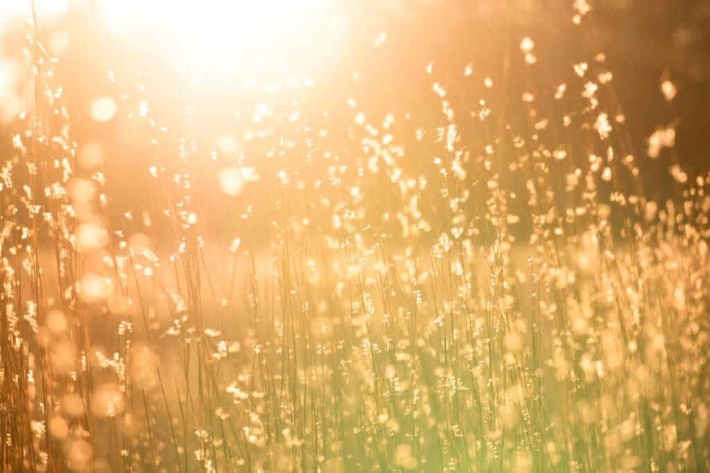 new research shows vitamin d has zero benefit to fetal growth in New Orleans, LA new research shows vitamin d has zero benefit to fetal growth in New Orleans, LA