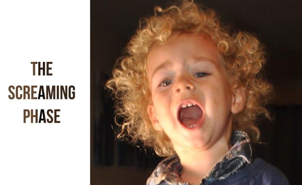 the screaming phase: toddler mom life