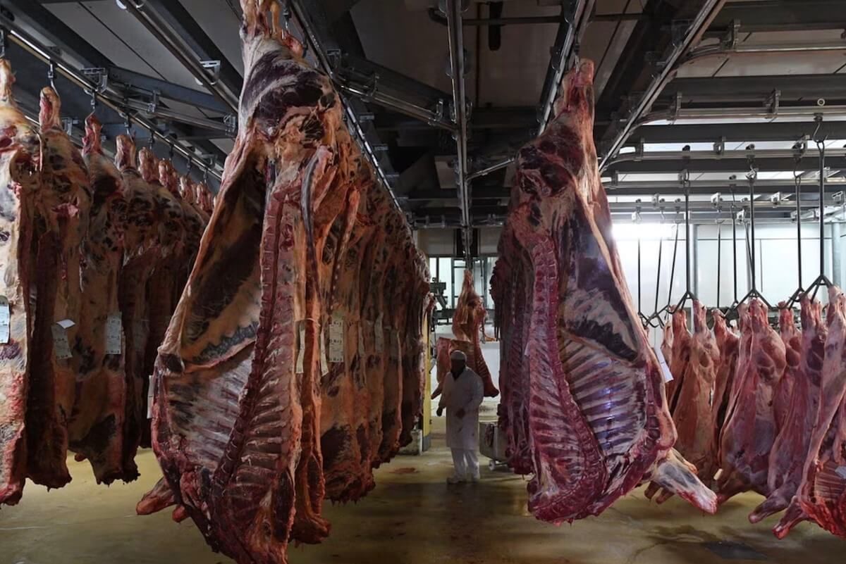 slaughterhouses in uk getting ‘glass walls’ via cctv in Austin, TX slaughterhouses in uk getting ‘glass walls’ via cctv in Austin, TX
