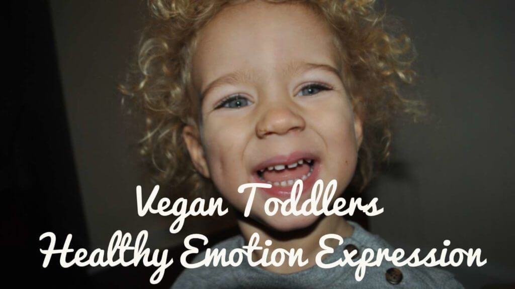 five ways to help toddlers express their emotions