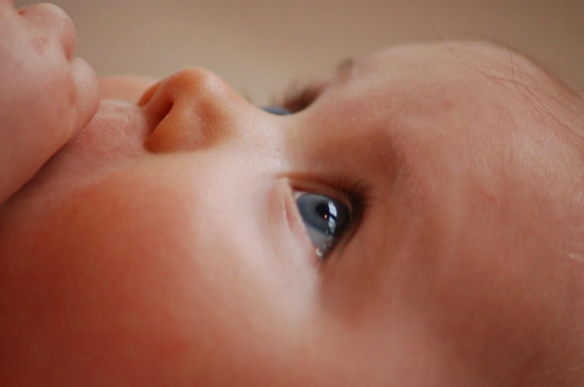 the top 50 baby girl names 2018 are in in Portland, OR the top 50 baby girl names 2018 are in in Portland, OR