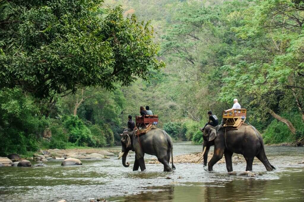 can animal tourism ever be ethical? in Madison, WI can animal tourism ever be ethical? in Madison, WI