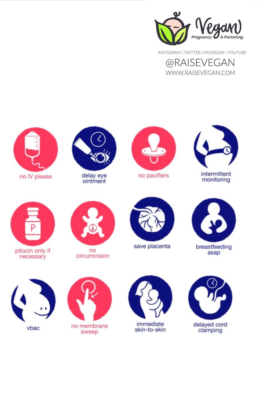 the ultimate birth plan template in Chicago, IL the ultimate birth plan template in Chicago, IL