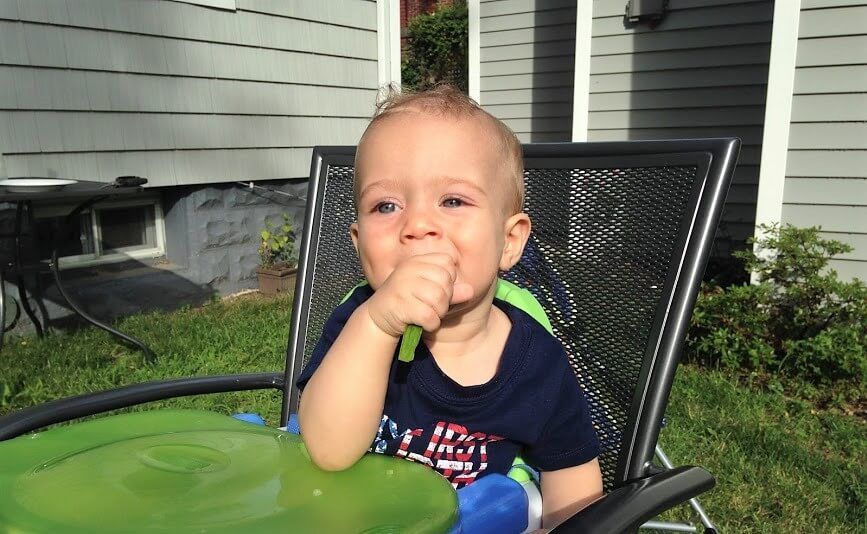 vegan baby led weaning ideas in Fort Worth, TX vegan baby led weaning ideas in Fort Worth, TX