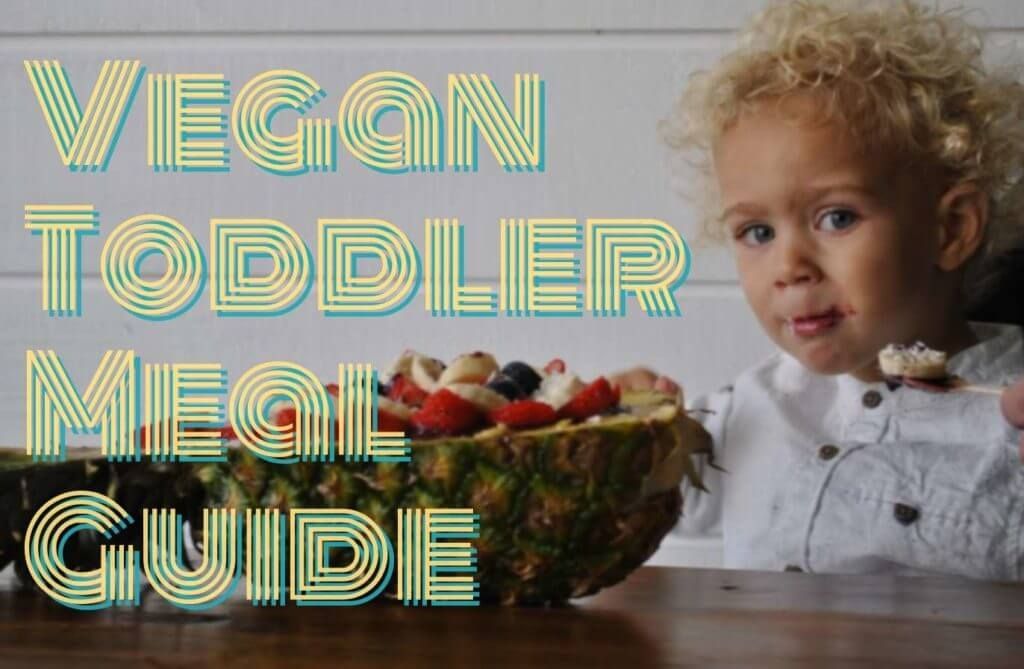 vegan toddler meal guide in Pittsburgh, PA vegan toddler meal guide in Pittsburgh, PA