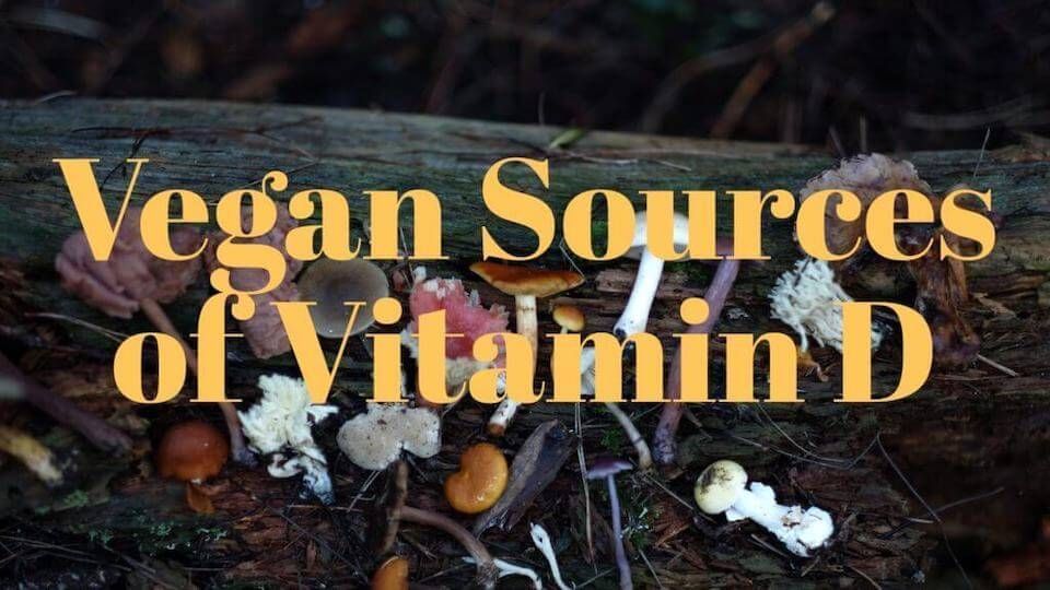 vegan vitamin d sources