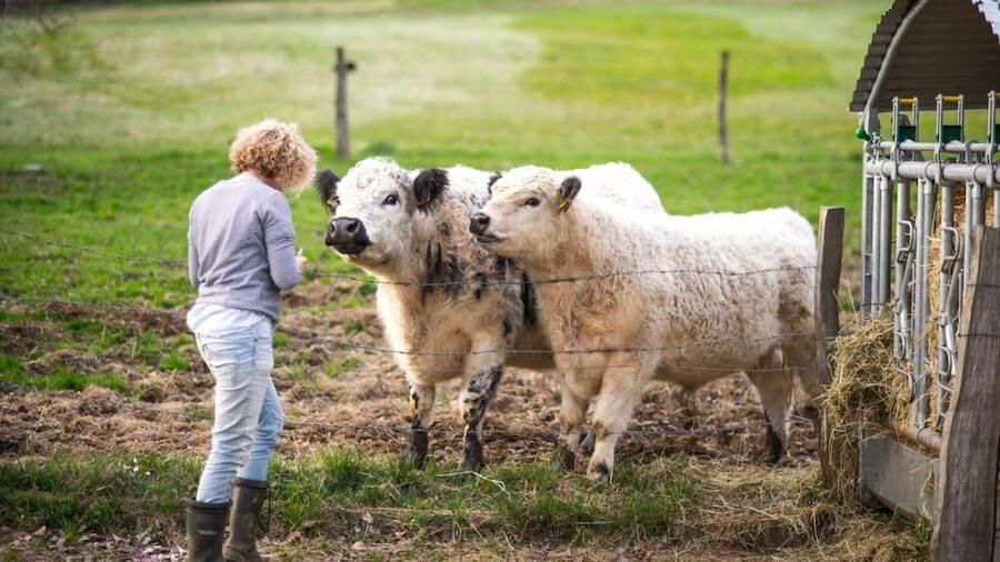 the what’s the deal with dairy products?